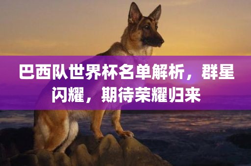 巴西队世界杯名单解析，群星闪耀，期待荣耀归来