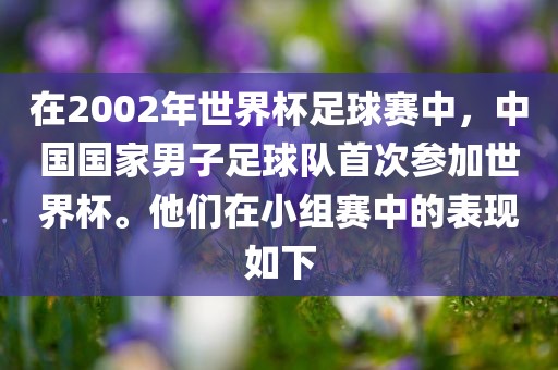 在2002年世界杯足球赛中，中国国家男子足球队首次参加世界杯。他们在小组赛中的表现如下
