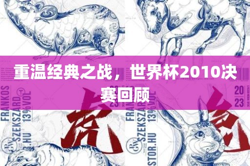 重温经典之战，世界杯2010决赛回顾