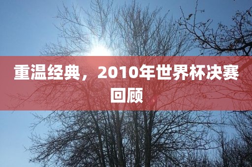 重温经典，2010年世界杯决赛回顾洪湖市顺升工程机械租赁有限公司