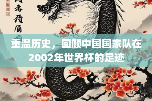 重温历史，回顾中国国家队在2002年世界杯的足迹