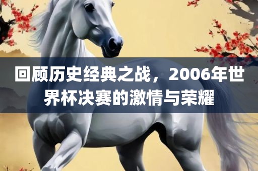 回顾历史经典之战，2006年世界杯决赛的激情与荣耀