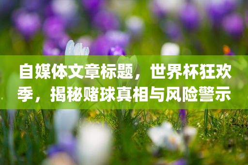 自媒体文章标题，世界杯狂欢季，揭秘赌球真相与风险警示