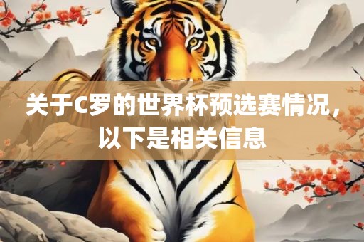 关于C罗的世界杯预选赛情况，以下是相关信息