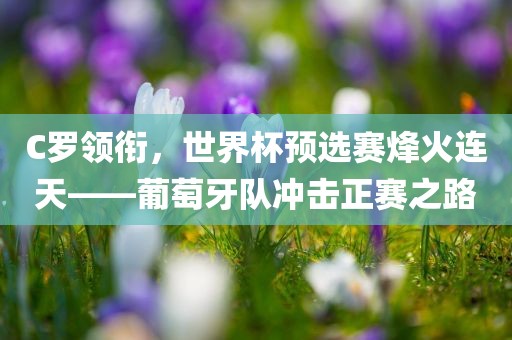 C罗领衔，世界杯预选赛烽火连天——葡萄牙队冲击正赛之路