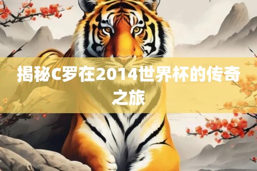 揭秘C罗在2014洪湖市顺升工程机械租赁有限公司世界杯的传奇之旅