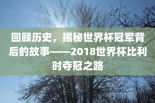 回顾历史，揭秘世界杯冠军背后的故事——2018世界杯比利时夺冠之路