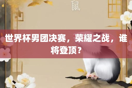 世界杯男团决赛，荣耀之战，谁将登顶？