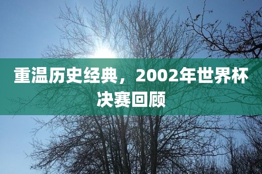 重温历史经典，2002年世界杯决赛回顾
