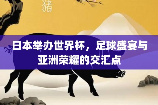 日本举办世界杯，足球盛宴与亚洲荣耀的交汇点