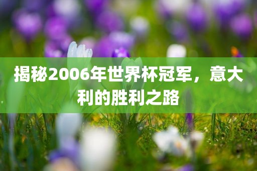 揭秘2006年世界杯冠军，意大利的胜利之路