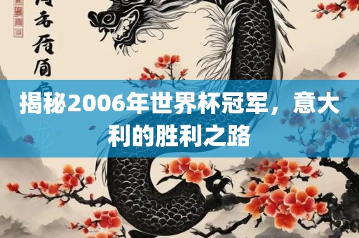 揭秘2006年世界杯冠军，意大利的胜利之路