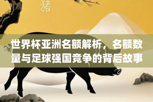 世界杯亚洲名额解析，名额数量与足球强国竞争的背后故事洪湖市顺升工程机械租赁有限公司