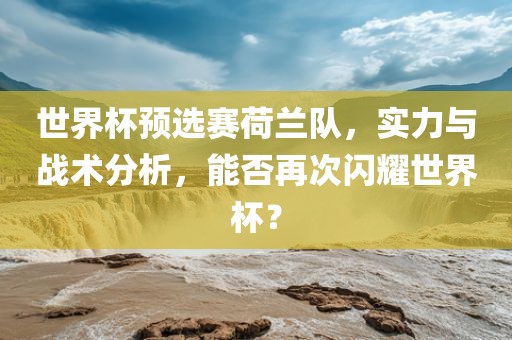 世界杯预选赛荷兰队，实力与战术分析，能否再次闪耀世界杯？