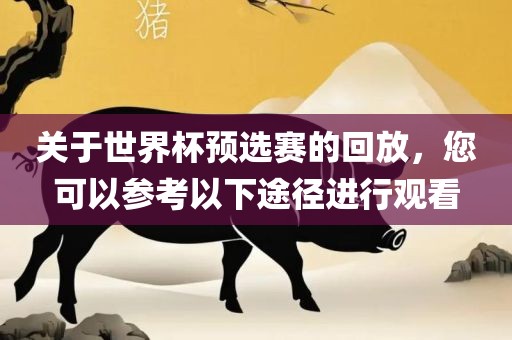 关于世界杯预选赛的回放，您可以参考以下途径进行观看