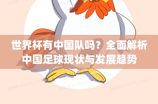 世界杯有中国队吗？全面解析中国足球现状与发展趋势