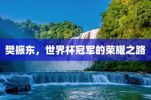 樊振东，世界杯冠军的荣耀之路