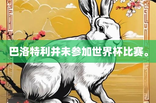 巴洛特利并未参加世界杯比赛。