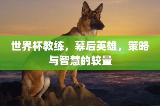 世界杯教练，幕后英雄，策略与智慧的较量洪湖市顺升工程机械租赁有限公司