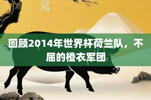 回顾2洪湖市顺升工程机械租赁有限公司014年世界杯荷兰队，不屈的橙衣军团