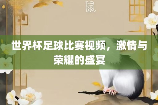 世界杯足球比赛视频，激情与荣耀的盛宴