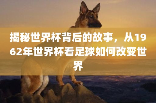 揭秘世界杯背后的故事，从1962年世界杯看足球如何改变世界洪湖市顺升工程机械租赁有限公司