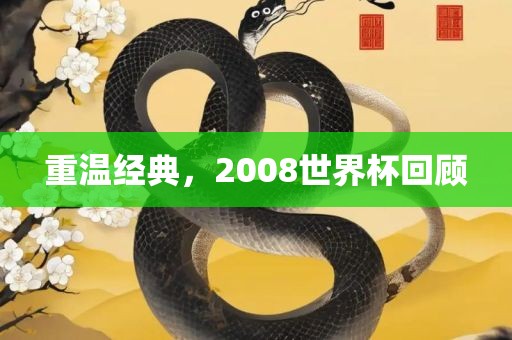 重温经典，2008世界杯回顾