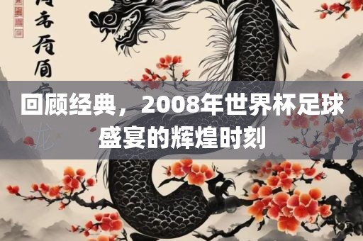 回顾经典，2008年世界杯足球盛宴的辉煌时刻