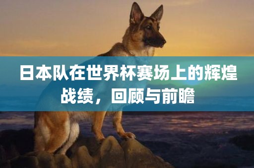 日本队在世界杯赛场上的辉煌战绩，回顾与前瞻