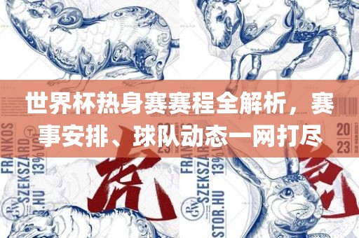 世界杯热身赛赛程全解析，赛事安排、球队动态一网打尽