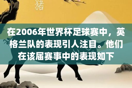 在2006年世界杯足球赛中，英格兰队的表现引人注目。他们在该届赛事中的表现如下
