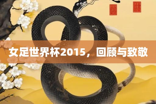 女足世界杯2015，回顾与致敬