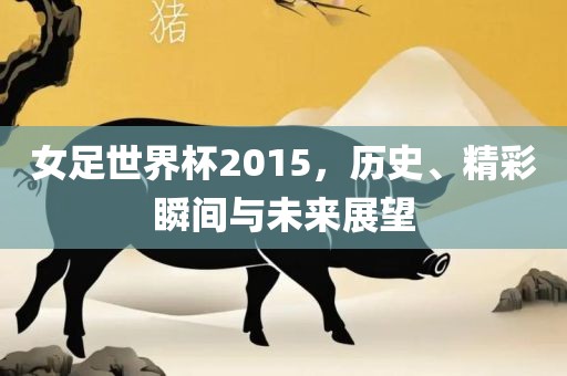 女足世界杯2015，历史、精彩瞬间与未来展望