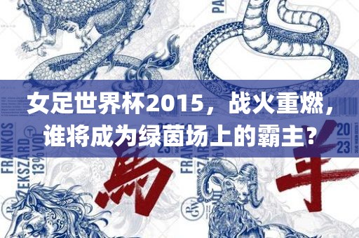 女足世界杯2015，战火重燃，谁将成为绿茵场上的霸主？洪湖市顺升工程机械租赁有限公司