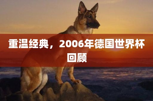 重温经典，2006年德国世界杯回顾