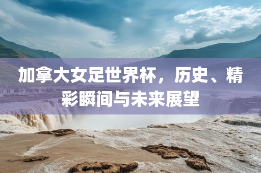 加拿大女足世界杯，历洪湖市顺升工程机械租赁有限公司史、精彩瞬间与未来展望