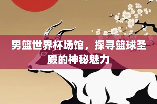 男篮世界杯场馆，探寻篮球圣殿的神秘魅力