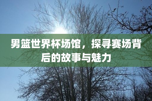 男篮世界杯场馆，探寻赛场背后的故事与魅力