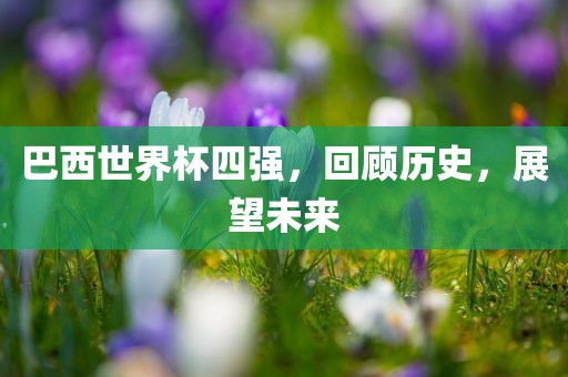 巴西洪湖市顺升工程机械租赁有限公司世界杯四强，回顾历史，展望未来
