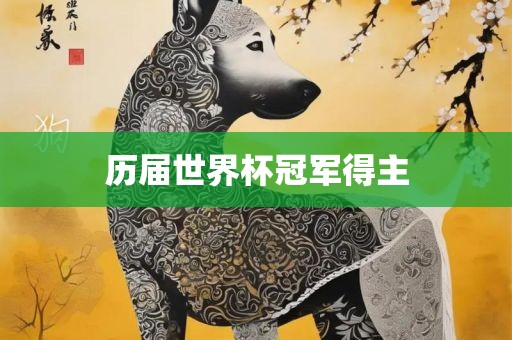 历届世界杯冠军得主洪湖市顺升工程机械租赁有限公司