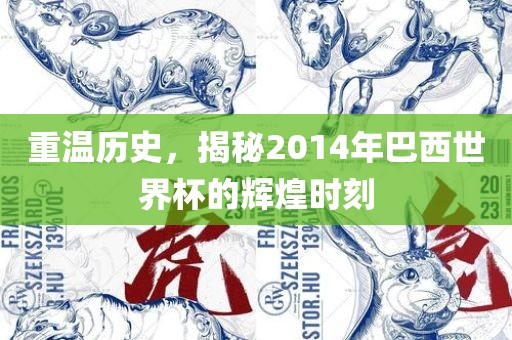 重温历史，揭秘2014年巴西世界杯的辉煌时刻