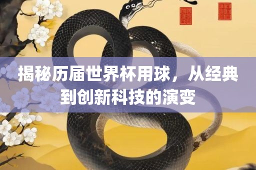 揭秘历届世界杯用球，从经典到创新科技的演变