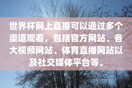 世界杯网上直播可以通过多个渠道观看，包括官方网站、各大视频网站、体育直播网站以及社交媒体平台等。
