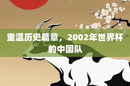 重温历史篇章，2002年世界杯的中国队