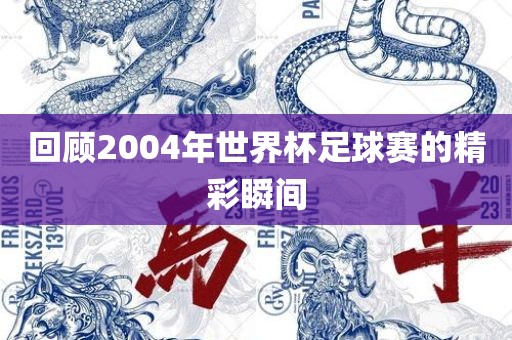 回顾2004年世界杯足球赛的精彩瞬间洪湖市顺升工程机械租赁有限公司