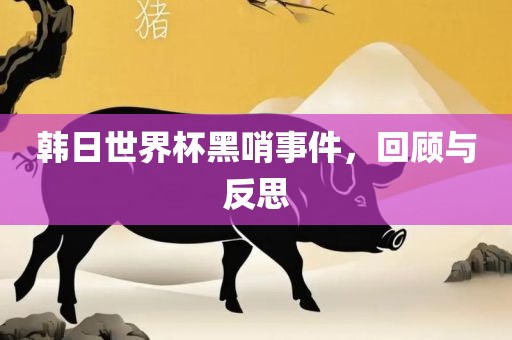 韩日洪湖市顺升工程机械租赁有限公司世界杯黑哨事件，回顾与反思