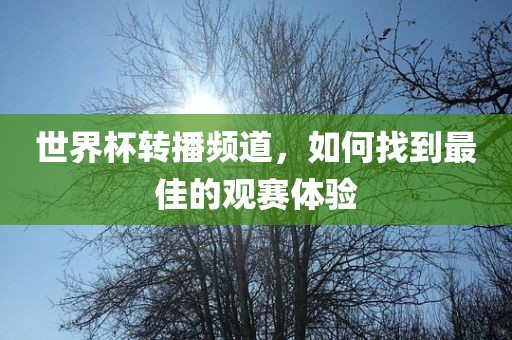 世界杯转播频道，如何找到最佳的观赛体验