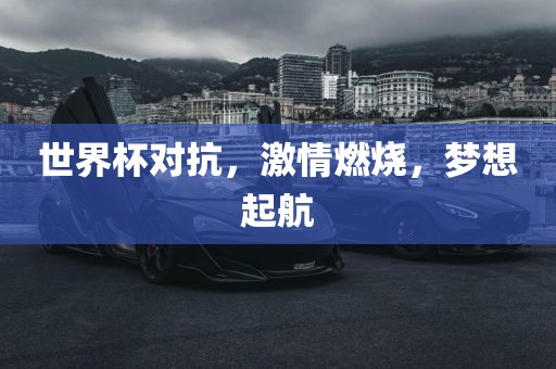 世界杯对抗，激情燃烧，梦想起航洪湖市顺升工程机械租赁有限公司