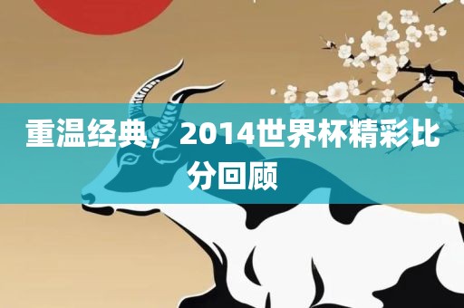 重温经典，2014世界杯精彩比分回顾