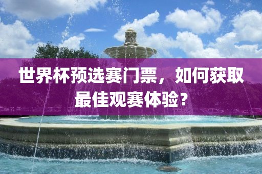 世界杯预选赛门票，如何获取最佳观赛体验？